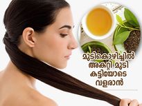 മുടികൊഴിച്ചിലകറ്റി മുടി കട്ടിയോടെ വളരാന്‍ ചായ പ്രയോഗം