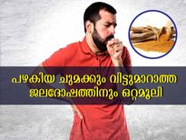 ഏത് പഴകിയ ചുമയും കൊല്ലുന്ന ജലദോഷവും മാറ്റും ഒറ്റമൂലി