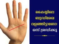 ഹസ്തരേഖാശാസ്ത്രത്തില്‍ ഒളിഞ്ഞിരിക്കും തൊഴില്‍മേഖലയും വളര്‍ച്ചയും