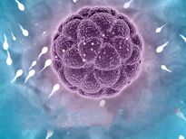 ഗര്‍ഭധാരണത്തിന് അനുയോജ്യമല്ലാത്ത ഗര്‍ഭപാത്രം: സെര്‍വ്വിക്കല്‍ മ്യൂക്കസ് ശ്രദ്ധിക്കണം