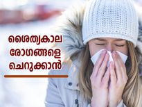 ശൈത്യകാല രോഗങ്ങള്‍ അടുക്കില്ല; ഈ ഭക്ഷണങ്ങളിലുണ്ട് തടയിടാനുള്ള വഴി