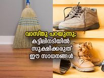 ദാമ്പത്യ പ്രശ്‌നങ്ങള്‍ വരുന്ന വഴി അറിയില്ല; ഈ സാധനങ്ങള്‍ ഒരിക്കലും കട്ടിലിനടിയില്‍ സൂക്ഷിക്കരുത്