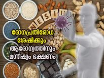 പ്രതിരോധശക്തിക്കും ഹോര്‍മോണ്‍ വളര്‍ത്താനും തണുപ്പുകാലത്ത് ഗുണംചെയ്യും ഈ മഗ്നീഷ്യം ഭക്ഷണങ്ങള്‍
