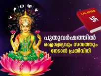 ഗ്രഹദോഷങ്ങള്‍ നീക്കി പുതുവര്‍ഷത്തില്‍ ഐശ്വര്യവും സമ്പത്തും; ലാല്‍കിതാബ് പ്രതിവിധി