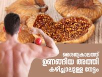 ശൈത്യകാലത്ത് ദിനവും 2-3 അത്തിപ്പഴം നല്‍കും ശരീരത്തിന് കരുത്തും സ്റ്റാമിനയും