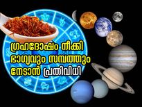 ഒരുനുള്ള് കുങ്കുമപ്പൂവിലൂടെ നേടാം സമ്പത്തും ഭാഗ്യവും; ഗ്രഹദോഷ നിവാരണത്തിന് ജ്യോതിഷപ്രതിവിധി