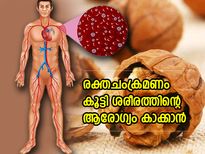 ശൈത്യകാലത്ത് ശരീരം ചൂടാക്കാം, രക്തയോട്ടം കൂട്ടാം; ഈ ഭക്ഷണങ്ങള്‍ അത്യുത്തമം