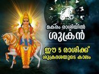 ശുക്രന്റെ സംക്രമണം; പുതുവര്‍ഷത്തിലെ ആദ്യമാസം മകരം ഉള്‍പ്പെടെ ഈ 5 രാശിക്ക് ശുക്രദശ 