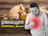 ഗുണങ്ങള്‍ നല്ലതുതന്നെ, പക്ഷേ ഇഞ്ചി അധികം കഴിക്കരുത്; നിങ്ങളെ കാത്ത് ഈ 7 അപകടം 