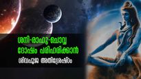 ഗ്രഹദോഷങ്ങള്‍ അകറ്റി ജീവിതം ധനധാന്യ സമൃദ്ധിയിലേക്ക്: ശിവരാത്രിയില്‍ ശിവപൂജ