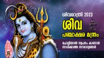 പരമേശ്വരന്റെ അനന്തമായ അനുഗ്രഹം, സര്‍വ്വദോഷ ശാന്തി; ശിവ പഞ്ചാക്ഷര മന്ത്രത്തിന്റെ അത്ഭുതം