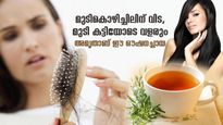 മുടിക്ക് കട്ടിയും ശക്തിയും; മുടികൊഴിച്ചില്‍ നിയന്ത്രിക്കാന്‍ ഈ ആയുര്‍വേദ ചായ ഉത്തമം 