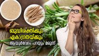 ഓര്‍മ്മക്കുറവ് നിങ്ങളെ അലട്ടുന്നുണ്ടോ? ഓര്‍മ്മശക്തി കൂട്ടാന്‍ ആയുര്‍വേദത്തിലെ ഈ കാര്യം പരീക്ഷിക്കൂ