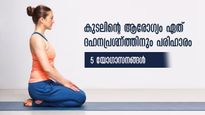 ദഹനം ഇനി എളുപ്പം നടക്കും കുടലിനും ആരോഗ്യം: യോഗാസനങ്ങള്‍ ഇതെങ്കില്‍