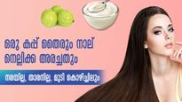  തൈരും നെല്ലിക്കയും മുടിയില്‍ കാണിക്കും മാജിക് അനുഭവിച്ചറിയൂ