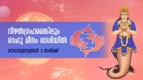 രാഹു മീനം രാശിയില്‍: 3 രാശിക്കാര്‍ക്ക് വരാന്‍ പോവുന്നത് ധനത്തിന് മുട്ടില്ലാത്ത കാലം 