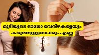  വെളിച്ചെണ്ണയില്‍ ചേരുംപടി ചേരേണ്ട 3 ചേരുവകള്‍: വേരിന് ബലം നല്‍കി മുടി വളര്‍ത്തും