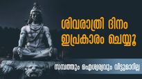 ശിവരാത്രി ദിനത്തില്‍ ഭഗവാന്റെ അനുഗ്രഹത്തിന് ഇതൊന്നു മാത്രം: ചന്ദ്ര-ശനിദോഷങ്ങള്‍ ഭസ്മമാവും