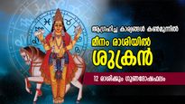 ആഗ്രഹിച്ച കാര്യങ്ങള്‍ കണ്‍മുന്നില്‍, ധനസമൃദ്ധിയും പ്രശസ്തിയും; മീനം രാശിയിലെ ശുക്രന്റെ ഫലം