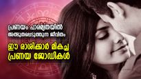 ഈ രാശിക്കാര്‍ ഒന്നിച്ചുചേര്‍ന്നാല്‍ മികച്ച പങ്കാളികള്‍; ആരെയും അസൂയപ്പെടുത്തും ഇവരുടെ ജീവിതം 