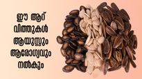 ഏത് രോഗത്തേയും പ്രതിരോധിക്കാനും ദീര്‍ഘായുസ്സിനും ഈ വിത്തുകള്‍ ഉള്‍പ്പെടുത്തൂ