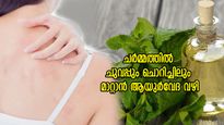 ചൂടുകാലത്ത് ചര്‍മ്മത്തില്‍ ചുവപ്പും ചൊറിച്ചിലും; പ്രതിവിധി ഈ ആയുര്‍വേദ വഴി