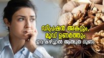 വിഷാദത്തിന്റെ പിടിയില്‍ നിന്ന് രക്ഷനേടാം, മനസ്സ് ശാന്തമാക്കാം; ഈ ഭക്ഷണങ്ങള്‍ ഉത്തമം