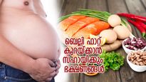 തടി കൂടുന്നതിന് പ്രധാന കാരണം വയറിലെ കൊഴുപ്പ്; ബെല്ലി ഫാറ്റ് കുറയ്ക്കും ഈ ഭക്ഷണങ്ങള്‍