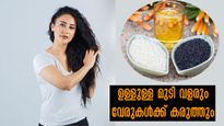  വെട്ടിയാലും വെട്ടിയാലും മുടി വളര്‍ത്തും എള്ള് മാജിക്:  ഒരു മാസം ഉപയോഗിക്കൂ