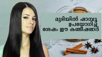  മുടിയില്‍ ഷാമ്പൂ ഇട്ടതിന് ശേഷം ഈ കണ്ടീഷണര്‍: മുടിവളര്‍ച്ച അത്ഭുതപ്പെടുത്തും