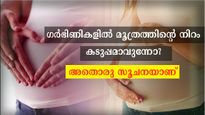  ഗര്‍ഭിണികളിലെ മൂത്രത്തിലെ നിറം മാറ്റം നിസ്സാരമല്ല: നല്‍കുന്ന ചില സൂചനകള്‍