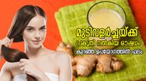 മുടിയുടെ സര്‍വ്വ പ്രശ്‌നവും നീക്കി മുടി വളര്‍ത്താന്‍ പ്രകൃതിയുടെ ഔഷധം