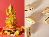 లక్ష్మీ గవ్వలు ఏ ఇంట ఉంటే ఆ ఇంట సిరుల పంటే..అదృష్టం తాండవిస్తుంది.!!