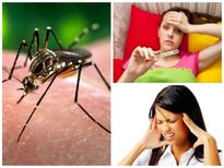 చికున్ గున్యా లక్షణాలేంటి ? ఖచ్చితంగా తీసుకోవాల్సిన డైట్ ఏంటి ?