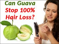 నిజమా....? 100 % జుట్టు రాలడం తగ్గించే జామ, జామ ఆకులు..! 