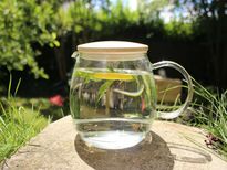 హాట్ లెమన్ వాటర్ బెనిఫిట్స్ & రోజూ ఉదయమే ఎందుకు తాగాలి? 