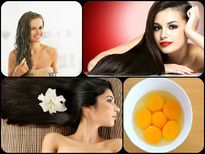 జుట్టు రాలడం తగ్గించి, పొడవుగా  పెరగడానికి ఎగ్ హెయిర్ ప్యాక్స్ 