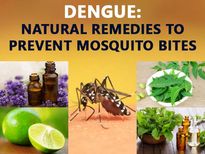 డేంజరస్ డెంగ్యూ జ్వరంను నివారించే ఎఫెక్టివ్ హోం రెమెడీస్ 