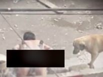 ఇండియాలో ఓ తాగుబోతు కుక్కపిల్లను రేప్ చేశాడు 