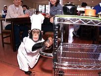 ఇటువంటి చిత్ర విచిత్రమైన విలాసవంతమైన హోటల్స్ మీరు ఎప్పుడూ చూసి ఉండరు