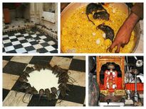 మూషికాలయం : 20 వేల ఎలుకలున్న దేవాలయంలో ఎన్నో వింతలు గురించి విన్నారా?