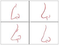 ఆశ్చర్యం అనిపించినా ఇది నిజం : ముక్కును బట్టి పర్సనాలిటీ తెలుసుకోవచ్చట...!