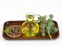 మీ జుట్టు రాలడం తగ్గించి, జుట్టు ఒత్తుగా పెరగేలా చేసే ఆముదం నూనె 