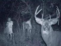 మీరు ఎప్పడూ చూడని ఫొటోలను ఒక్కసారి చూడండి !