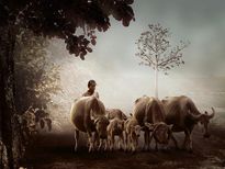 భారతదేశంలో గత 50ఏళ్ళుగా పిల్లలు పుట్టని ఒక శాపగ్రస్తమైన గ్రామం! 