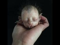 త‌ల మ‌నిషిది... శ‌రీరం పిల్లిది... ఎవ‌రు సృష్టించారో ఈ భ‌యంక‌ర వింత జీవిని!