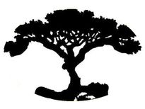 చిత్రాలు ఏమి బహిర్గత పరుస్తున్నాయి : చూసిన వెంటనే మీరు గమనించింది ఏమిటి ? 