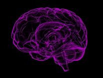 మీ శరీర - నాడీవ్యవస్థ దెబ్బతిన్నాదని చెప్పే 8 అసాధారణమైన సంకేతాలు!