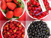 గడువు తేదీని (ఎక్స్పైరీ డేట్) దాటిన ఈ 10 ఆహారాలను అస్సలు  తినకూడదు !