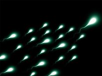 పురుషులలో వంద్యత్వ నివారణకు సహజ సిద్దమైన పద్దతులు ఇవే 